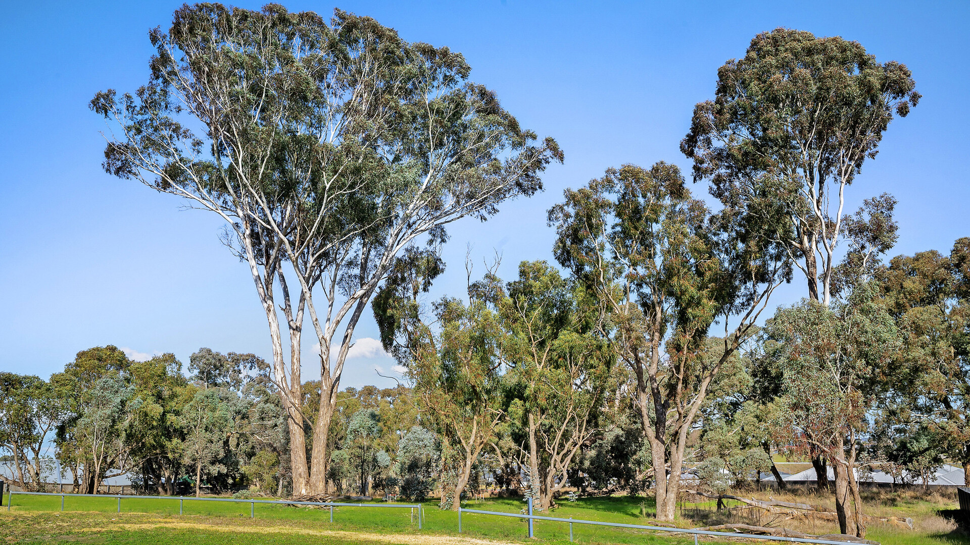19 Stevenson Way, Orange NSW 2800 - photo 8