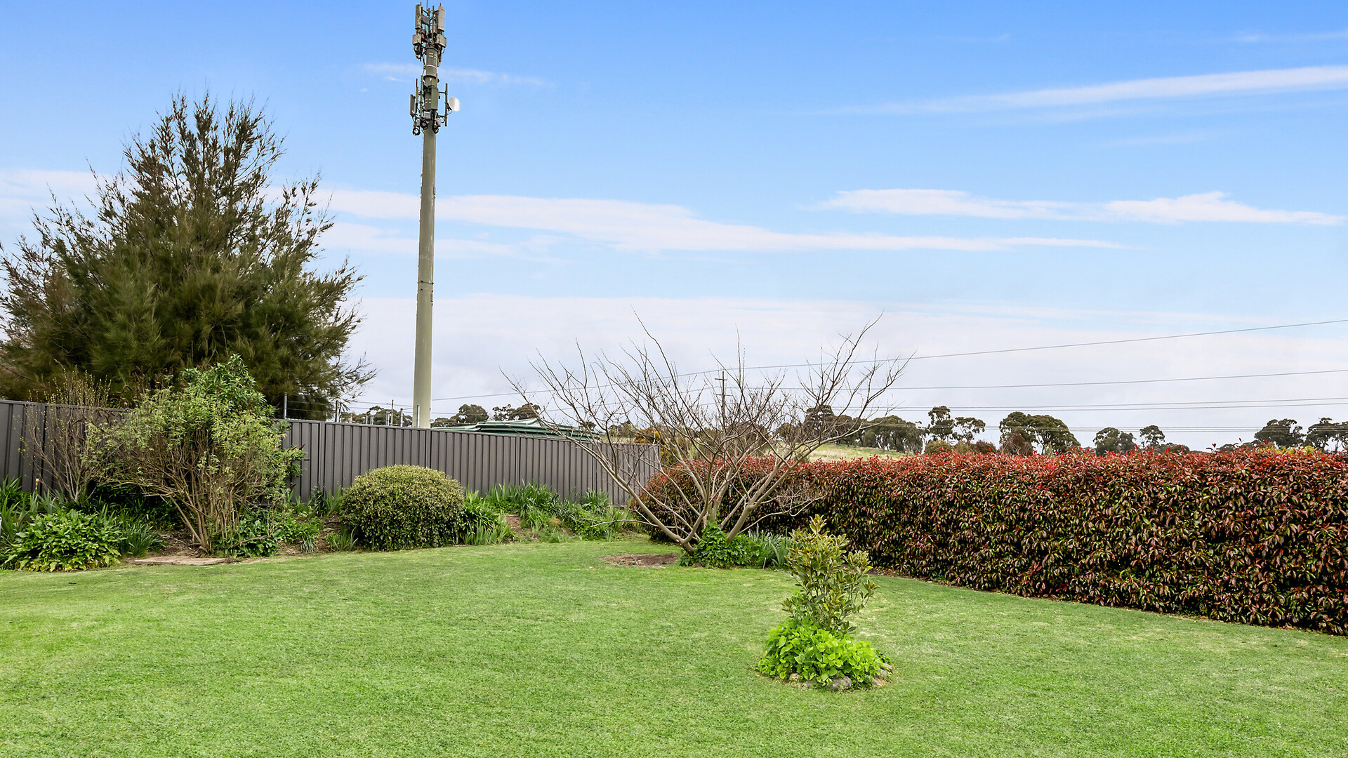 36 Elliott Street, Millthorpe NSW 2798 - photo 9