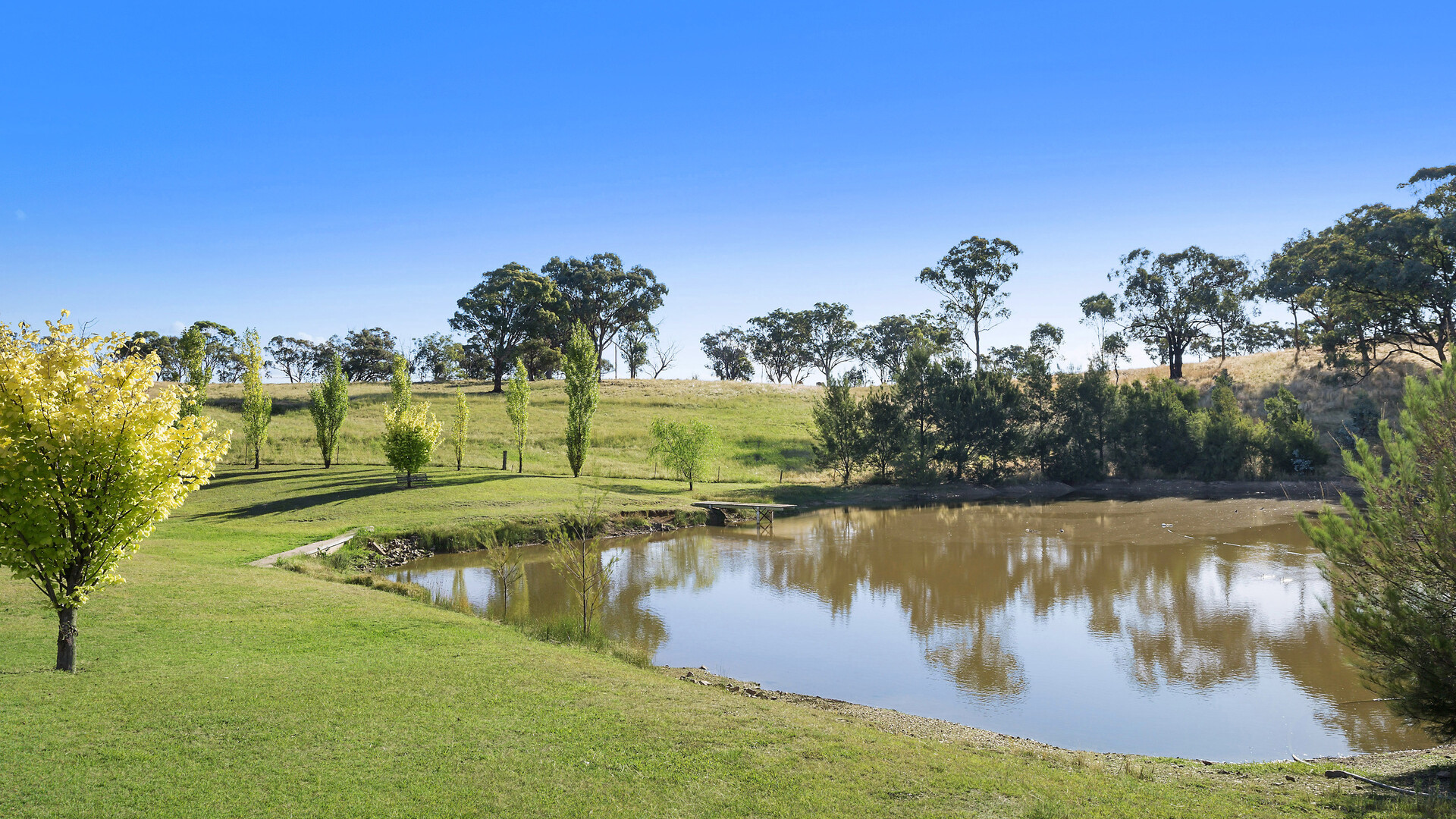 228 Kangaroobie Road, Orange NSW 2800 - photo 28