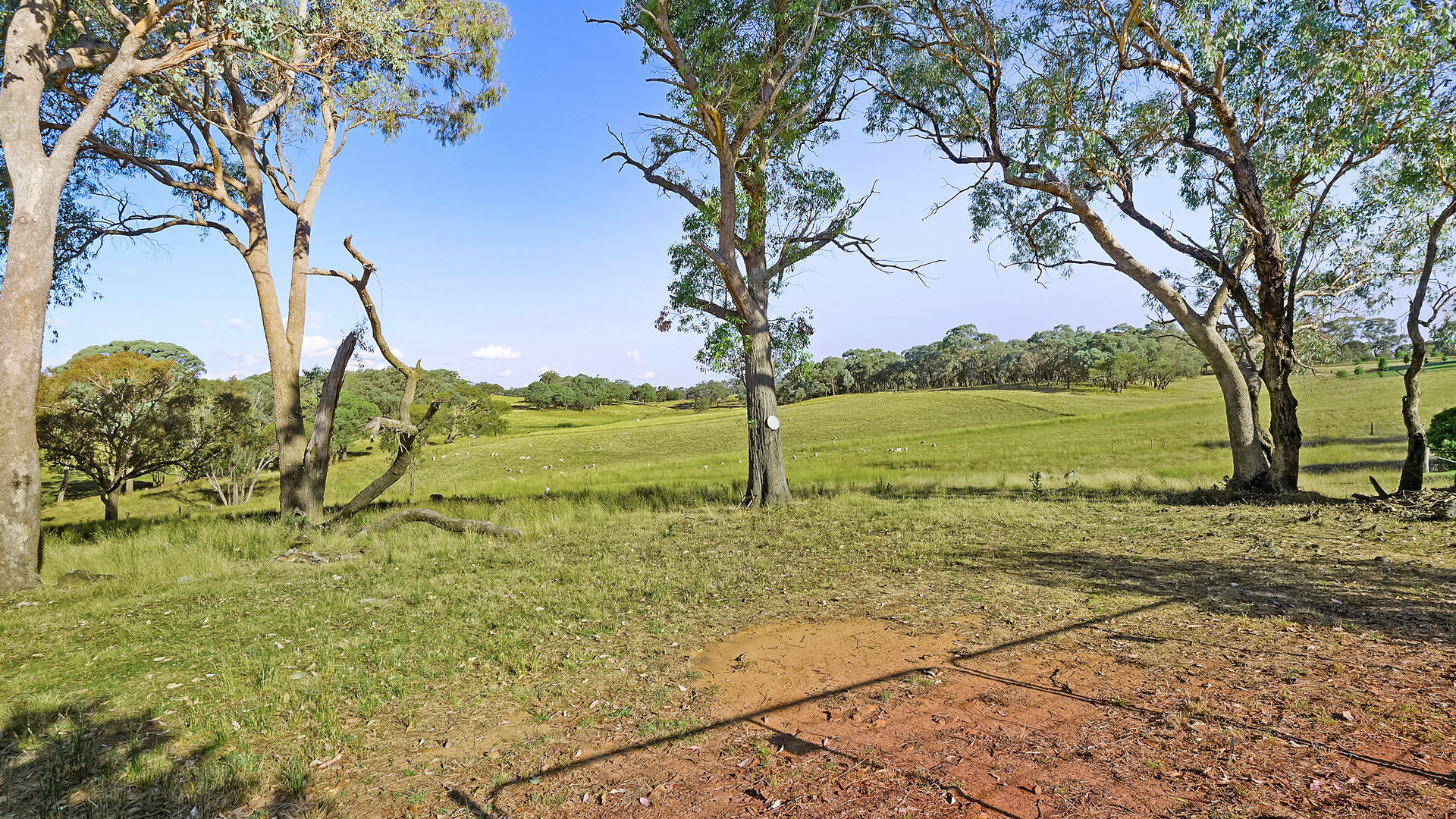 228 Kangaroobie Road, Orange NSW 2800 - photo 29