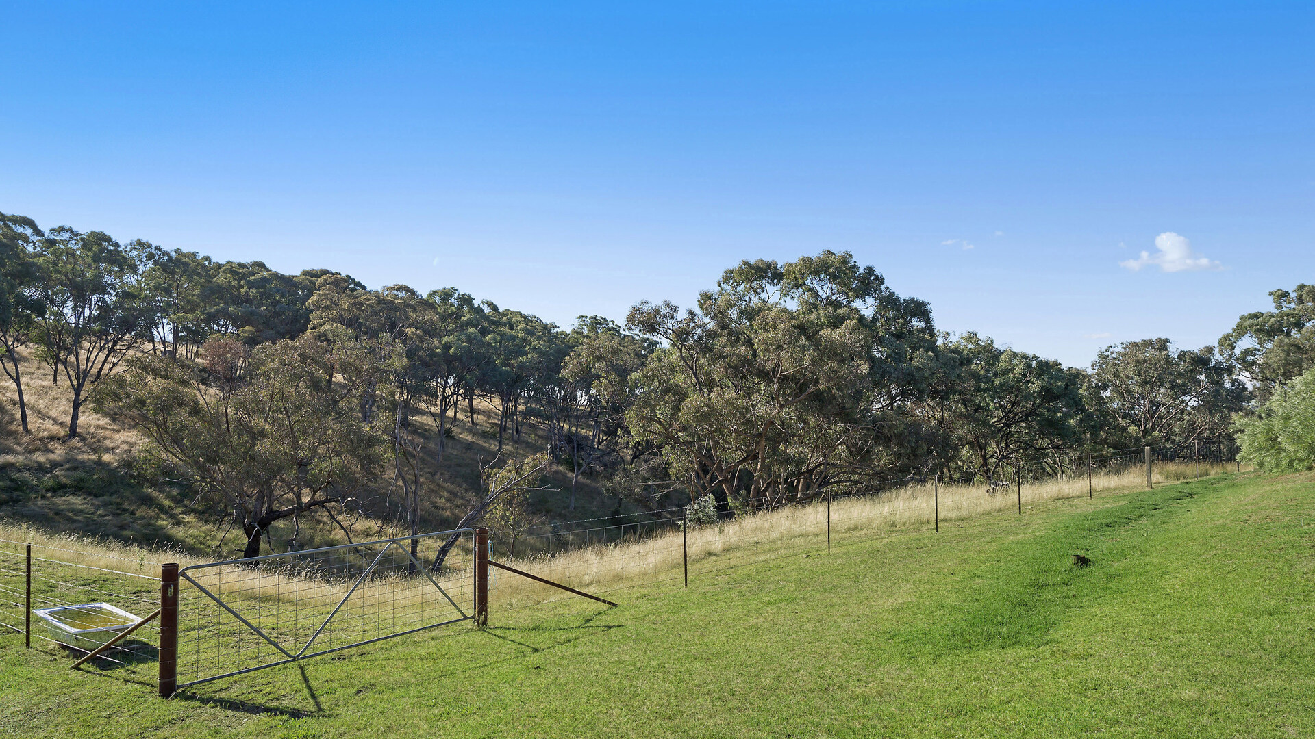 228 Kangaroobie Road, Orange NSW 2800 - photo 32