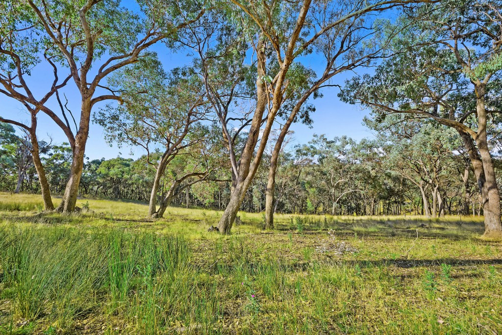 228 Kangaroobie Road, Orange NSW 2800 - photo 33