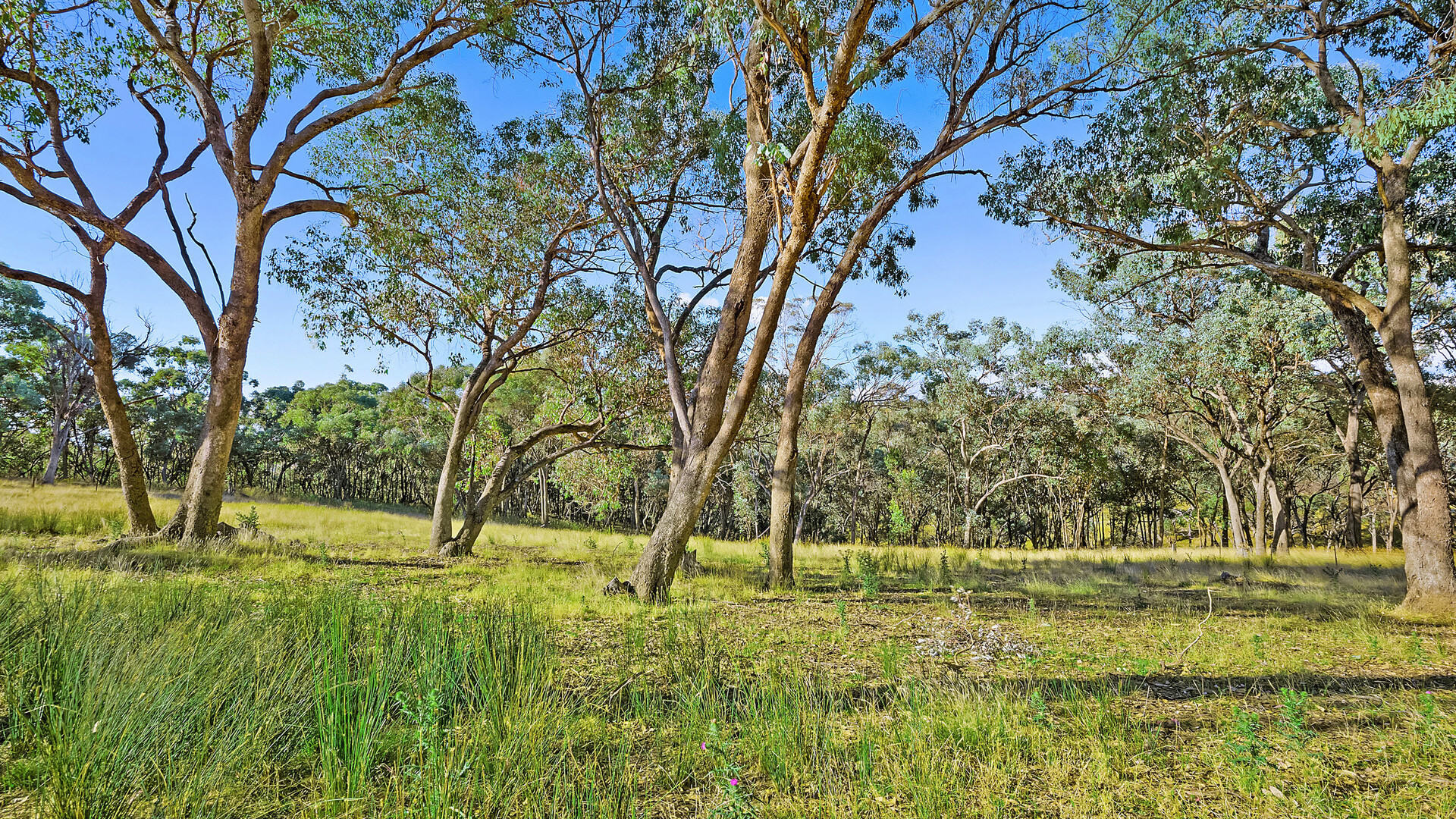 228 Kangaroobie Road, Orange NSW 2800 - photo 33