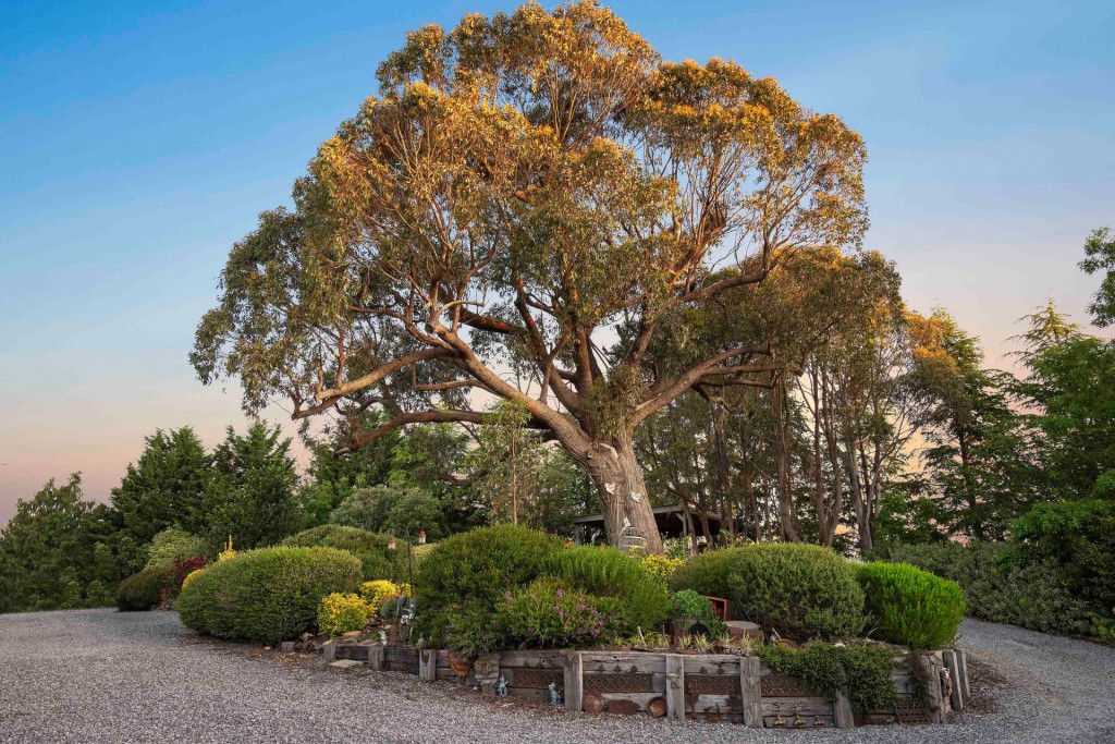 4 Geebung Place, Orange NSW 2800 - photo 19