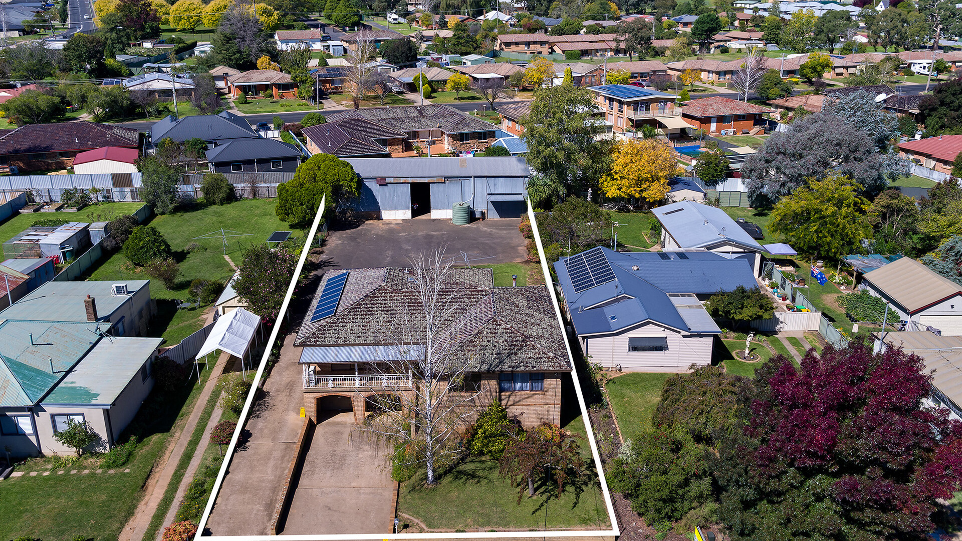 56 Cox Avenue, Orange NSW 2800 - photo 5