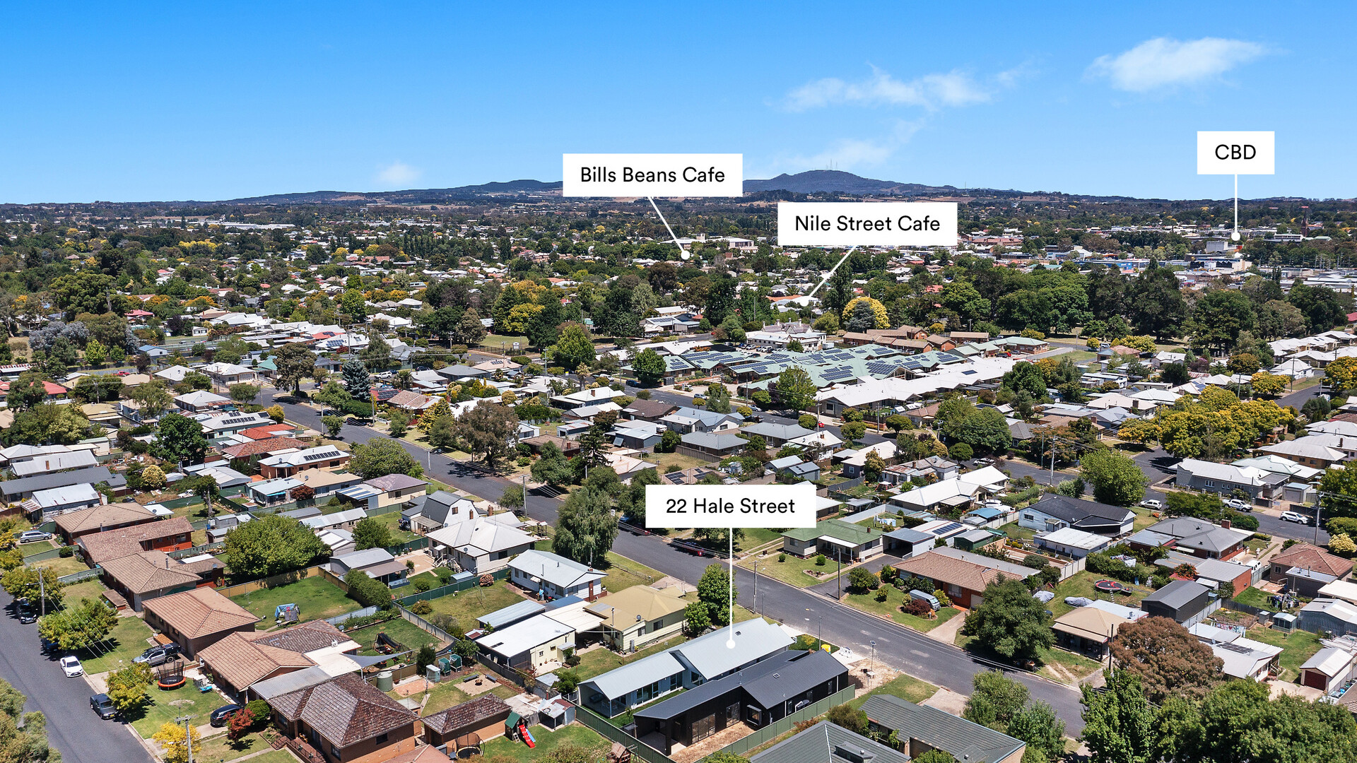 22 Hale Street, Orange NSW 2800 - photo 23