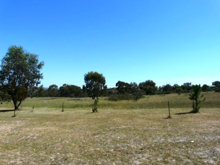 1396 Ophir Road, Rock Forest NSW 2795 - McGrath Central West
