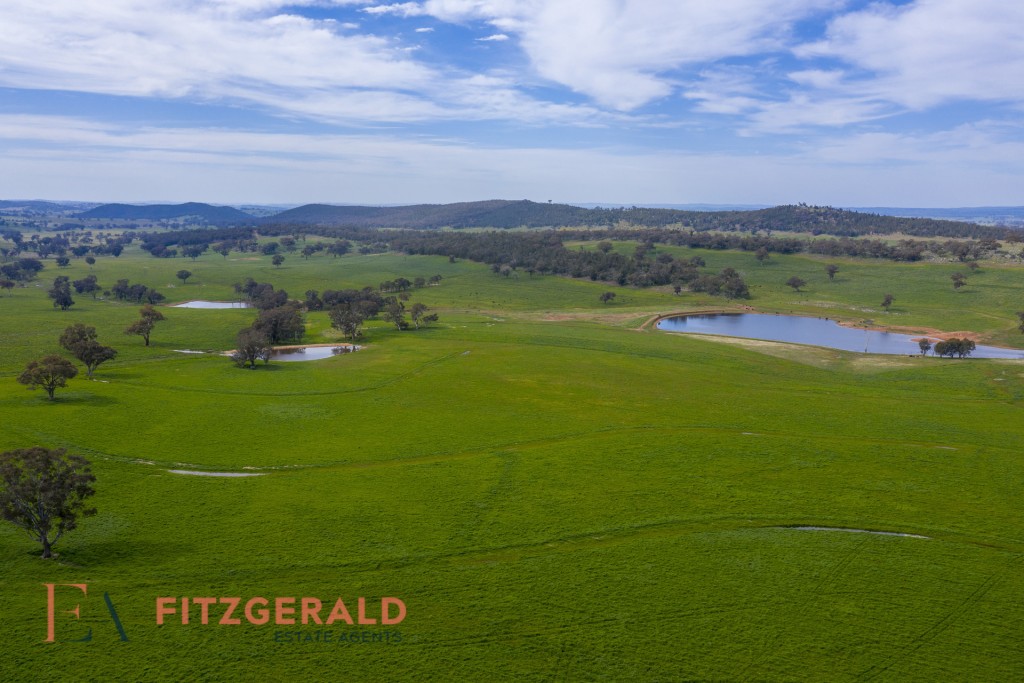 128 Norah Creek Road, Molong NSW 2866 - photo 11