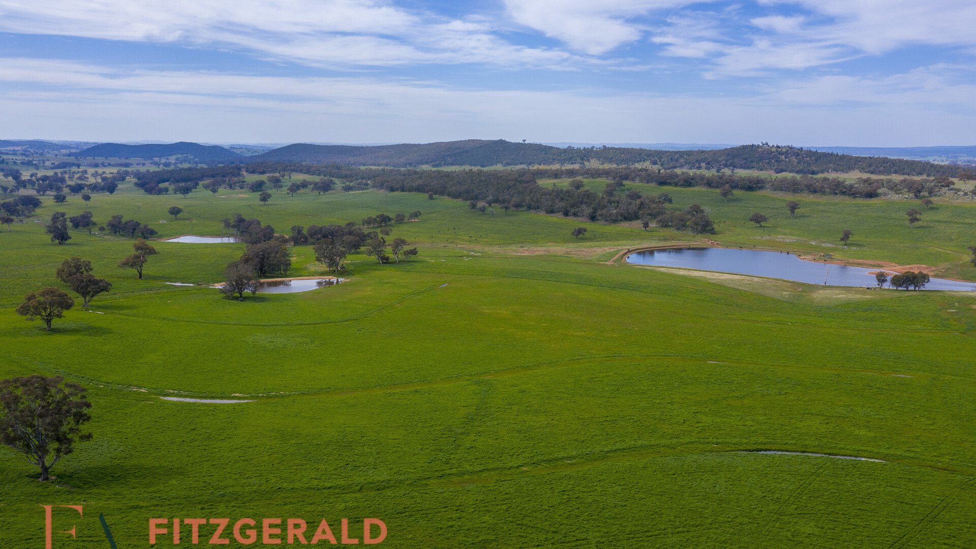 128 Norah Creek Road, Molong NSW 2866 - photo 11