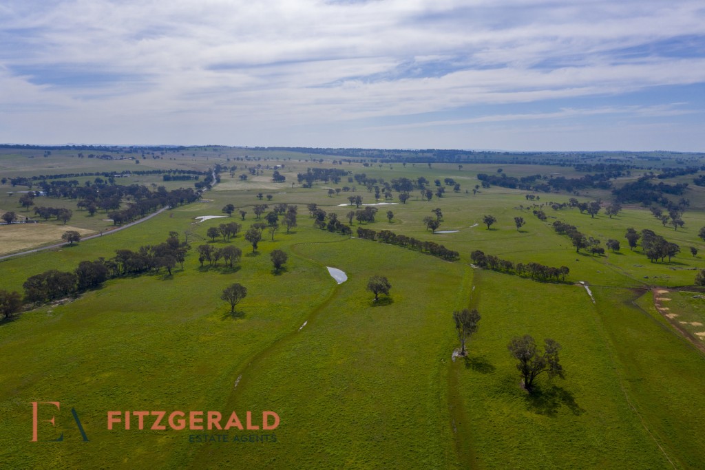 128 Norah Creek Road, Molong NSW 2866 - McGrath Central West
