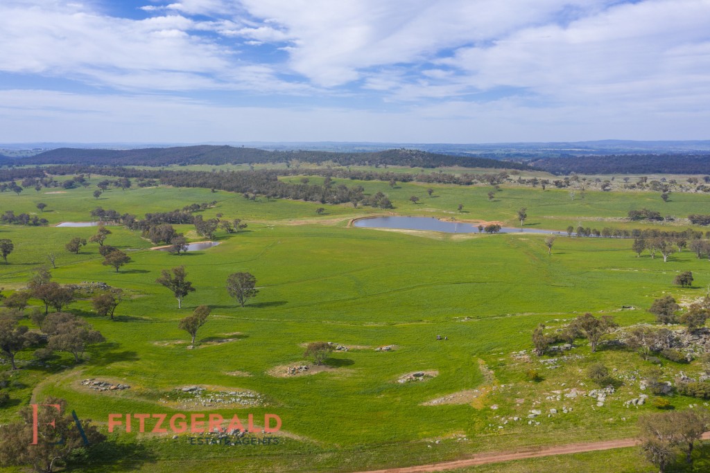 128 Norah Creek Road, Molong NSW 2866 - photo 12