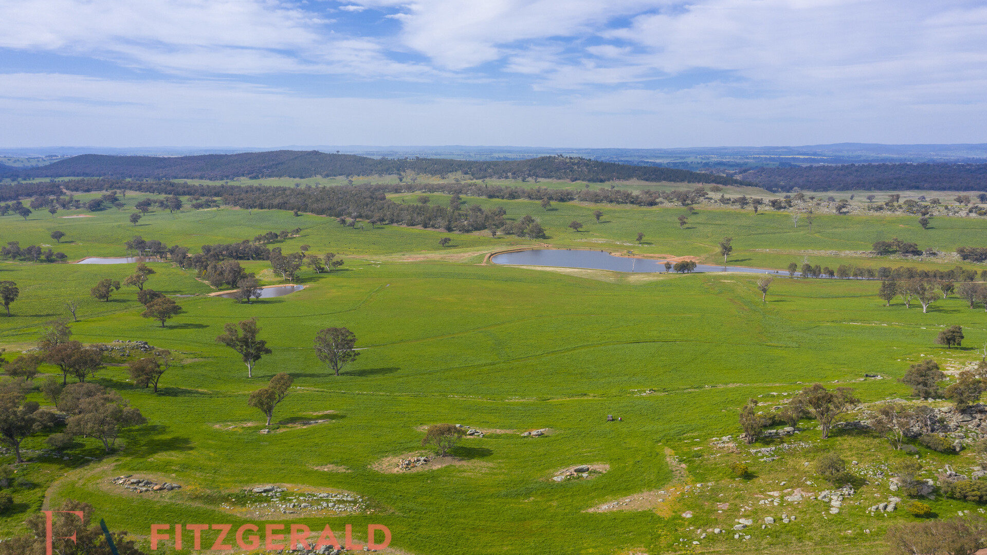 128 Norah Creek Road, Molong NSW 2866 - photo 12