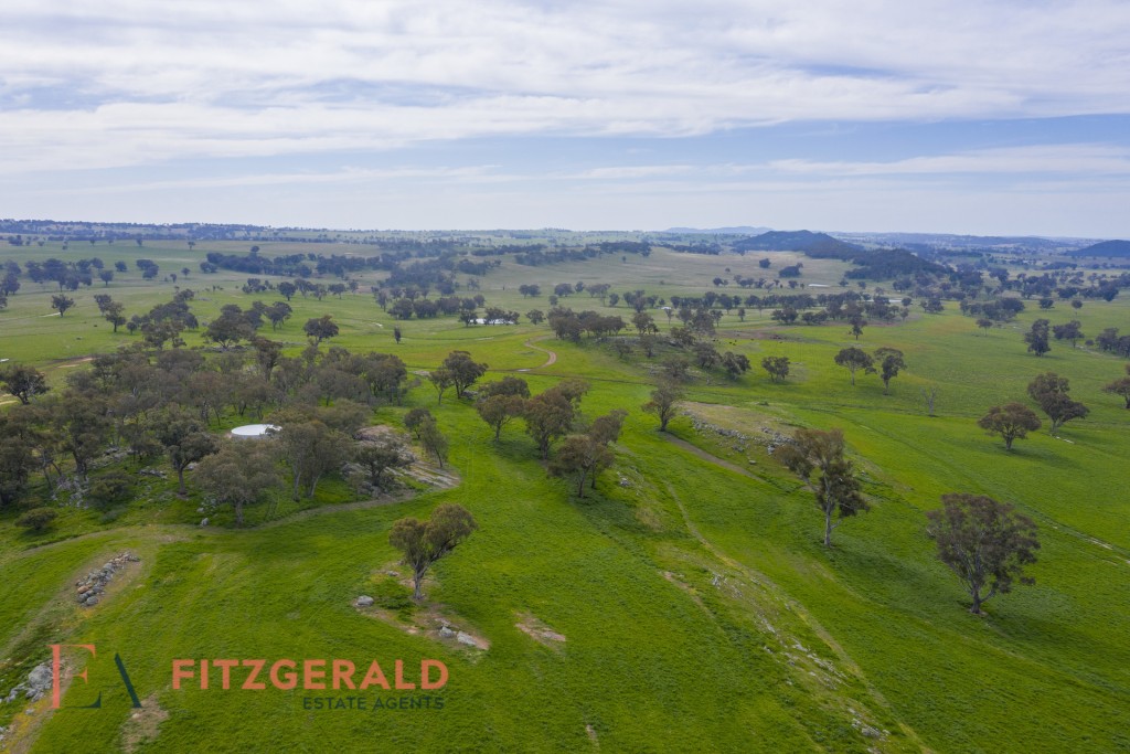 128 Norah Creek Road, Molong NSW 2866 - photo 13