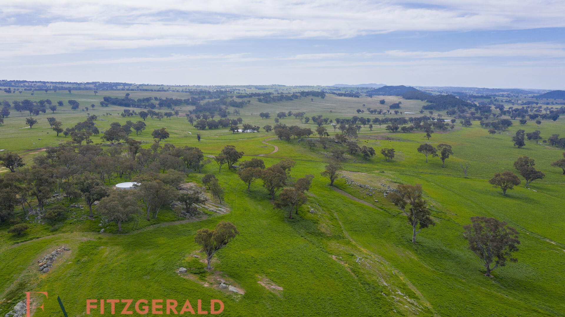 128 Norah Creek Road, Molong NSW 2866 - photo 13