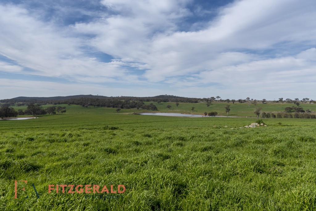 128 Norah Creek Road, Molong NSW 2866 - photo 14