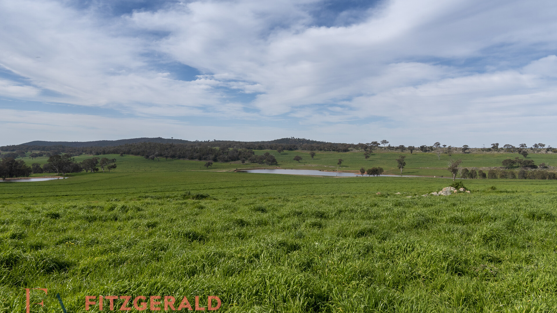 128 Norah Creek Road, Molong NSW 2866 - photo 14