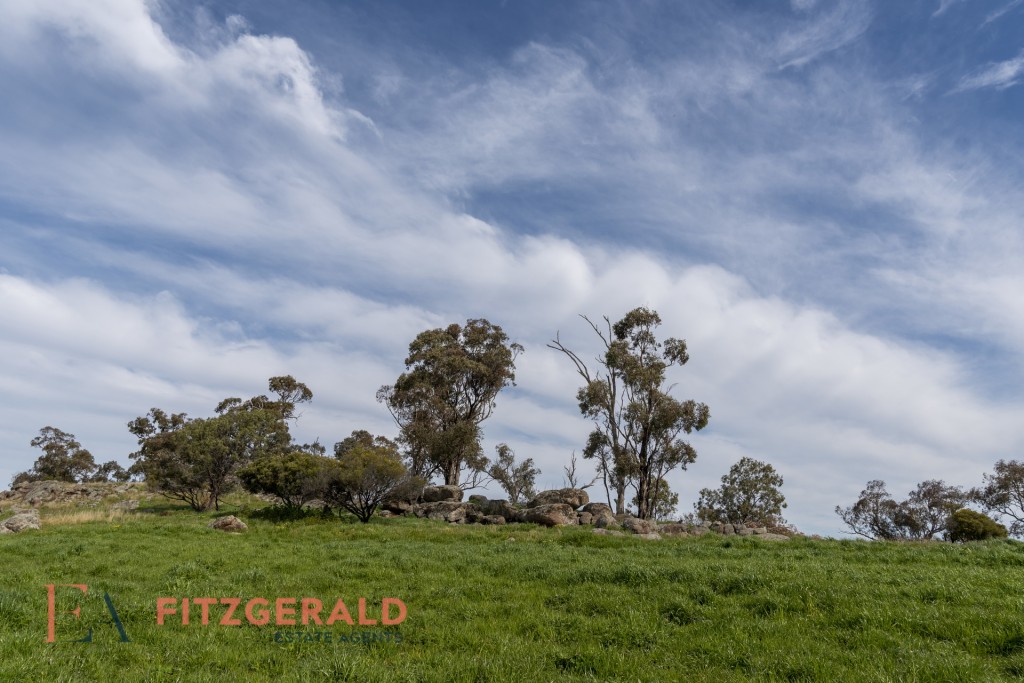 128 Norah Creek Road, Molong NSW 2866 - photo 15