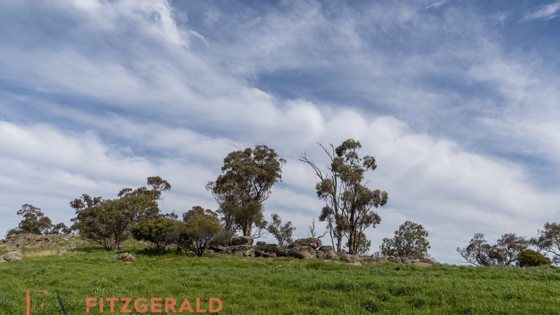 128 Norah Creek Road, Molong NSW 2866 - photo 15