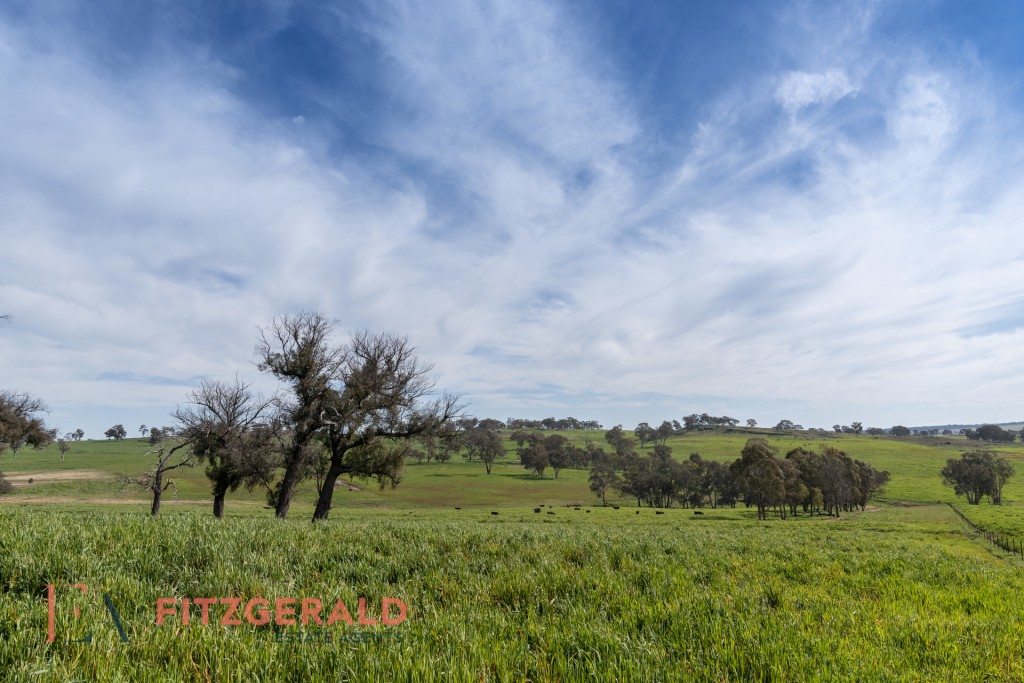 128 Norah Creek Road, Molong NSW 2866 - photo 16