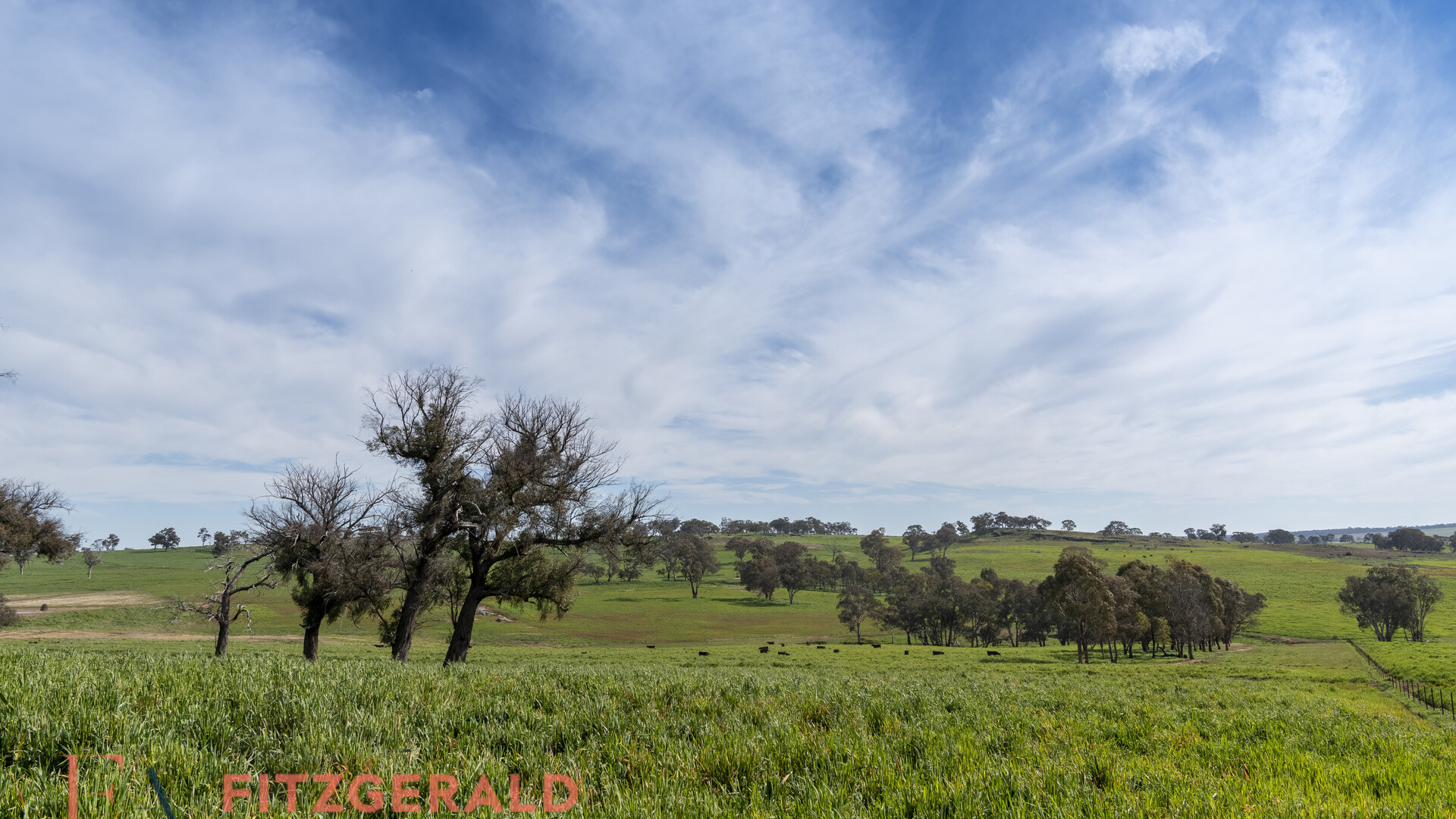 128 Norah Creek Road, Molong NSW 2866 - photo 16
