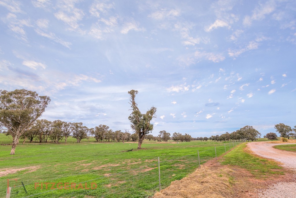128 Norah Creek Road, Molong NSW 2866 - photo 17