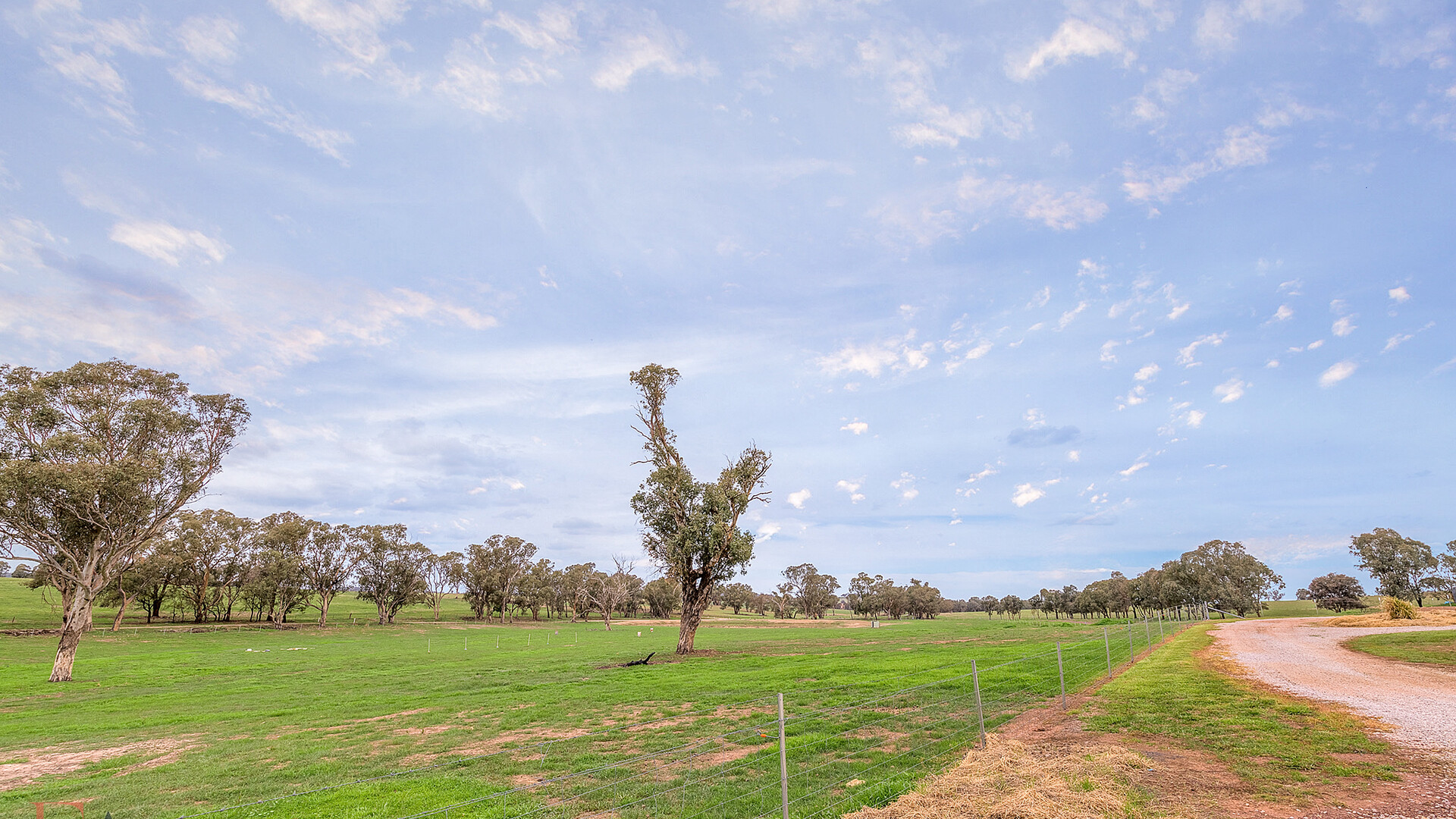 128 Norah Creek Road, Molong NSW 2866 - photo 17
