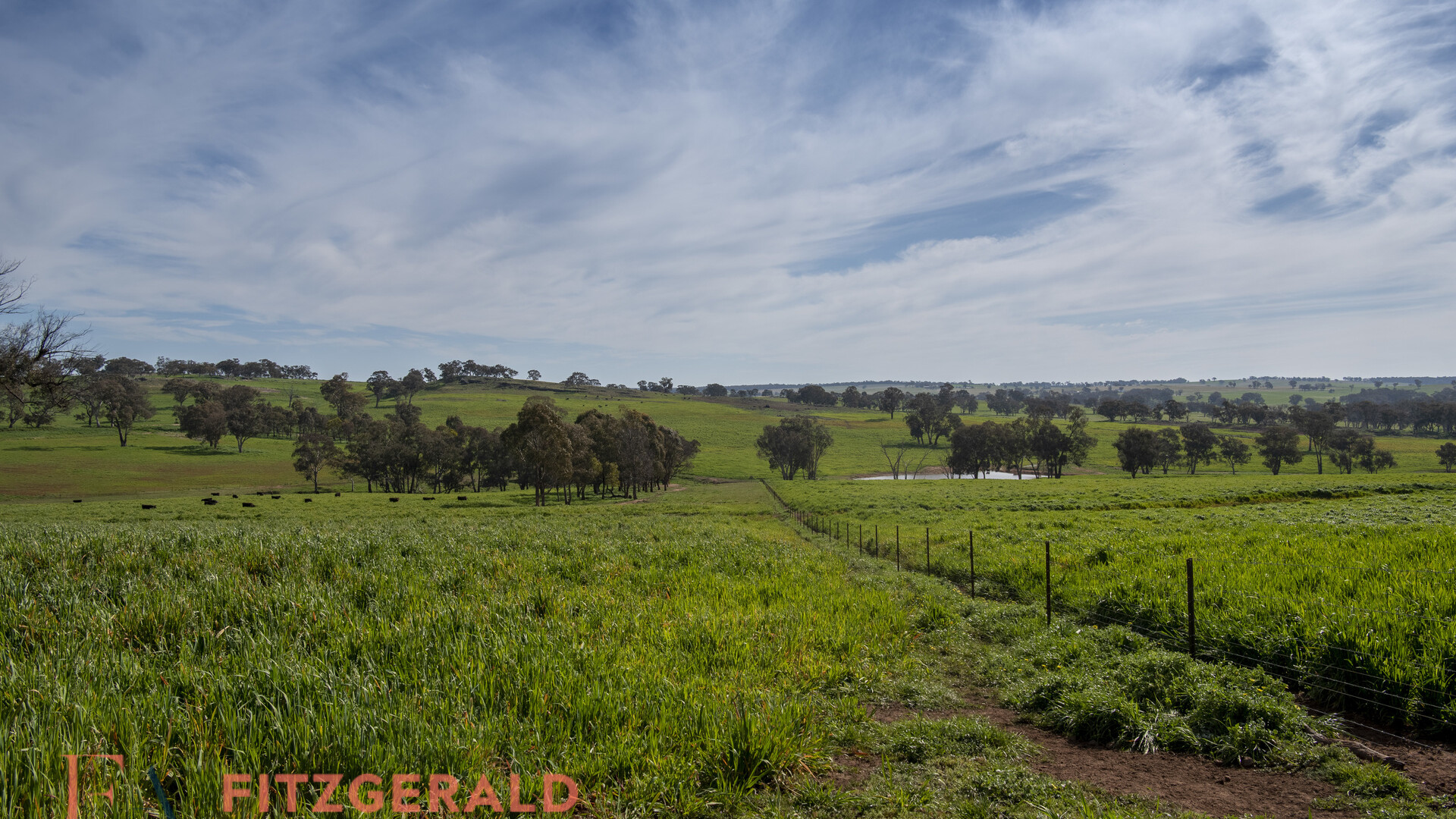 128 Norah Creek Road, Molong NSW 2866 - photo 18