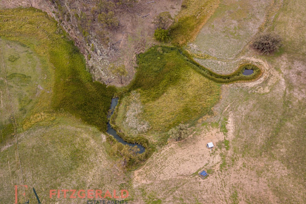 128 Norah Creek Road, Molong NSW 2866 - photo 21