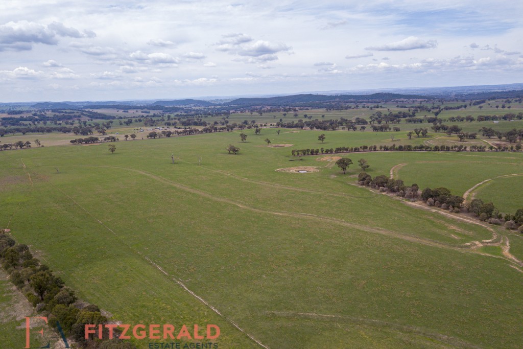 128 Norah Creek Road, Molong NSW 2866 - photo 4