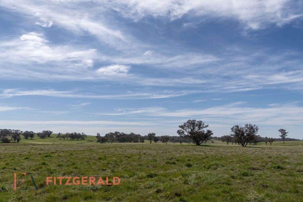 128 Norah Creek Road, Molong NSW 2866 - photo 5