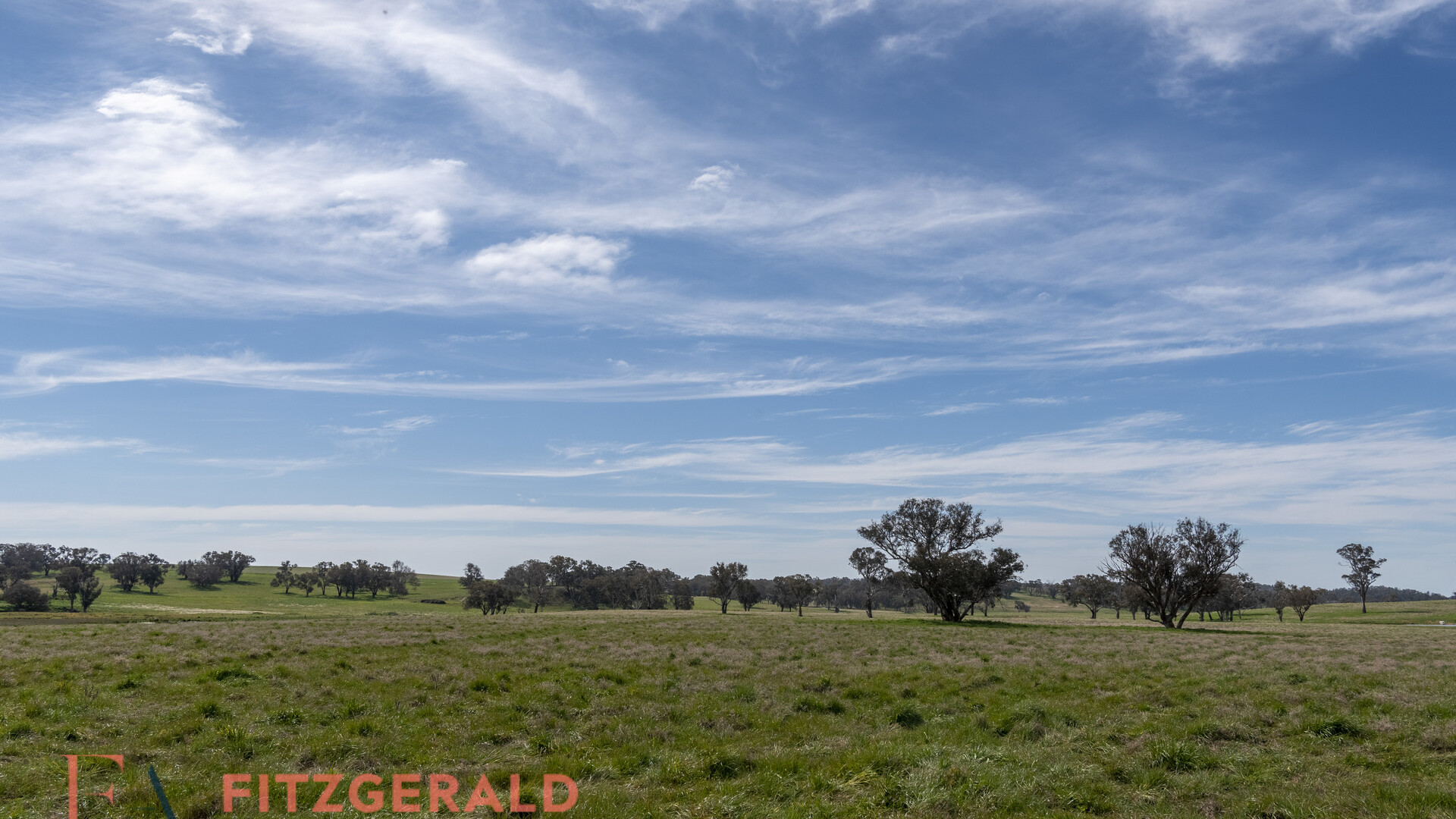128 Norah Creek Road, Molong NSW 2866 - photo 5