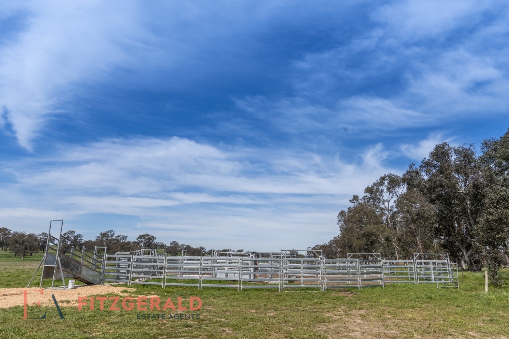 128 Norah Creek Road, Molong NSW 2866 - photo 6