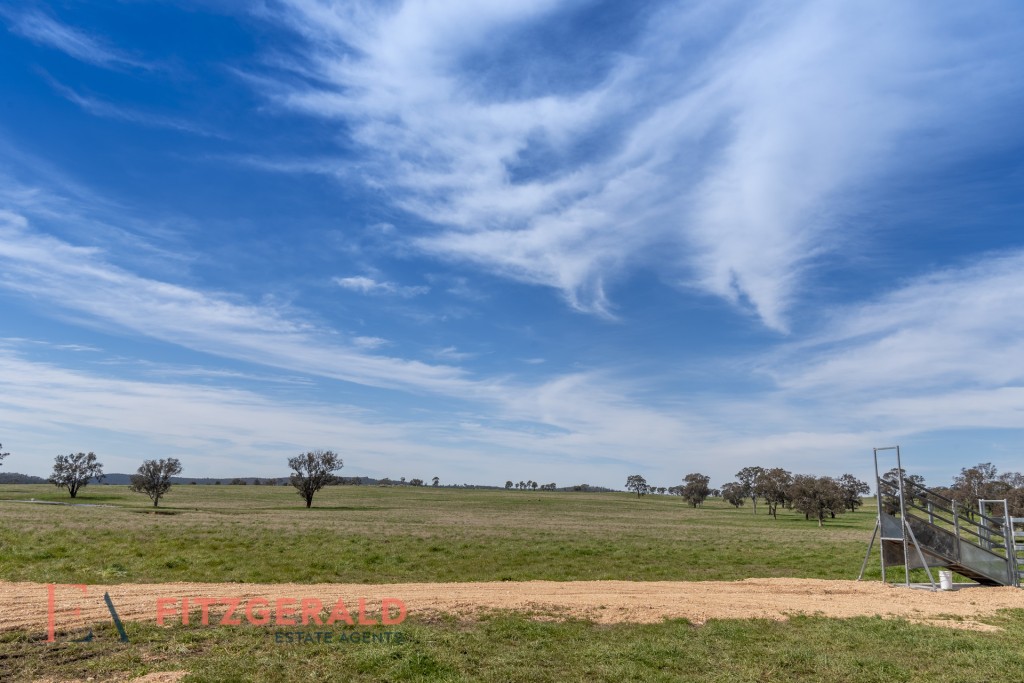 128 Norah Creek Road, Molong NSW 2866 - photo 7