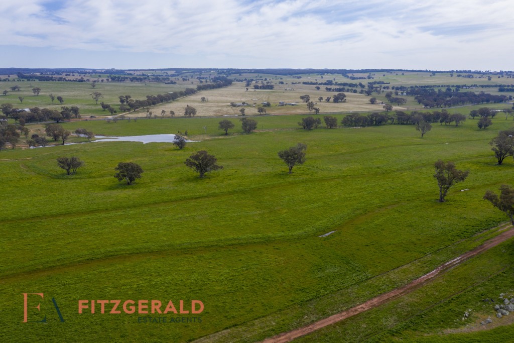 128 Norah Creek Road, Molong NSW 2866 - photo 8