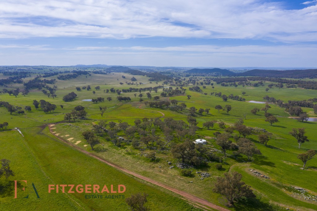 128 Norah Creek Road, Molong NSW 2866 - photo 9