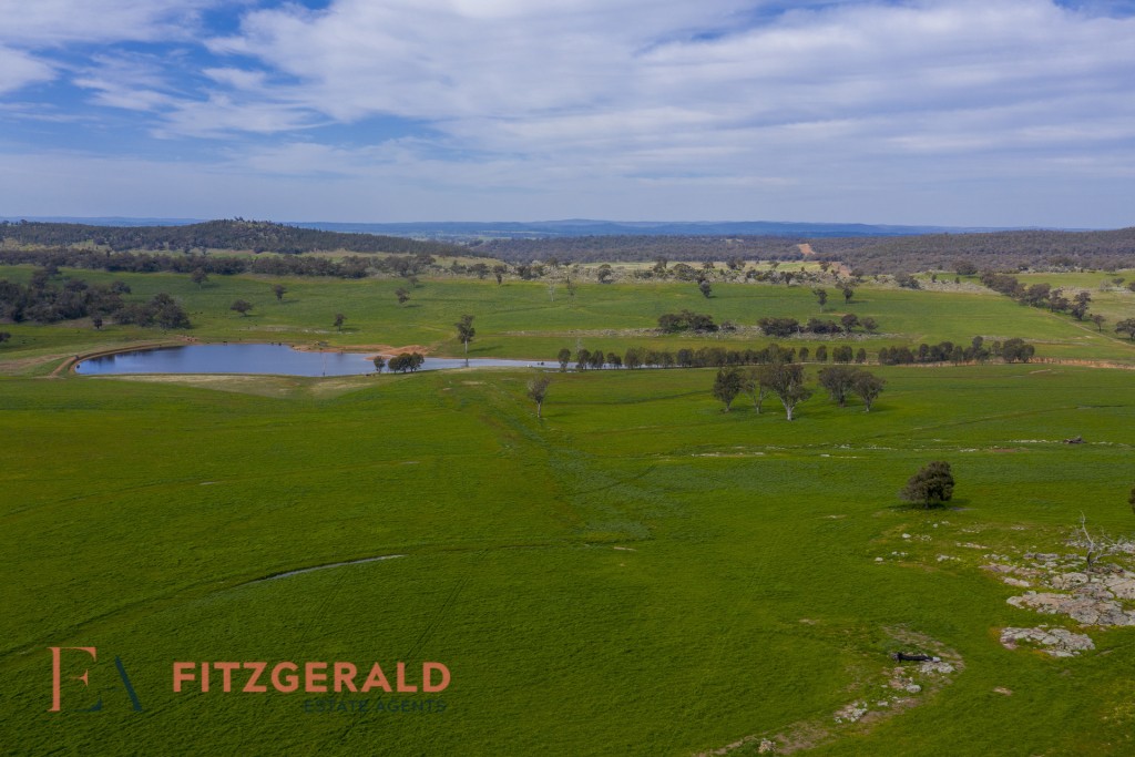 128 Norah Creek Road, Molong NSW 2866 - photo 10