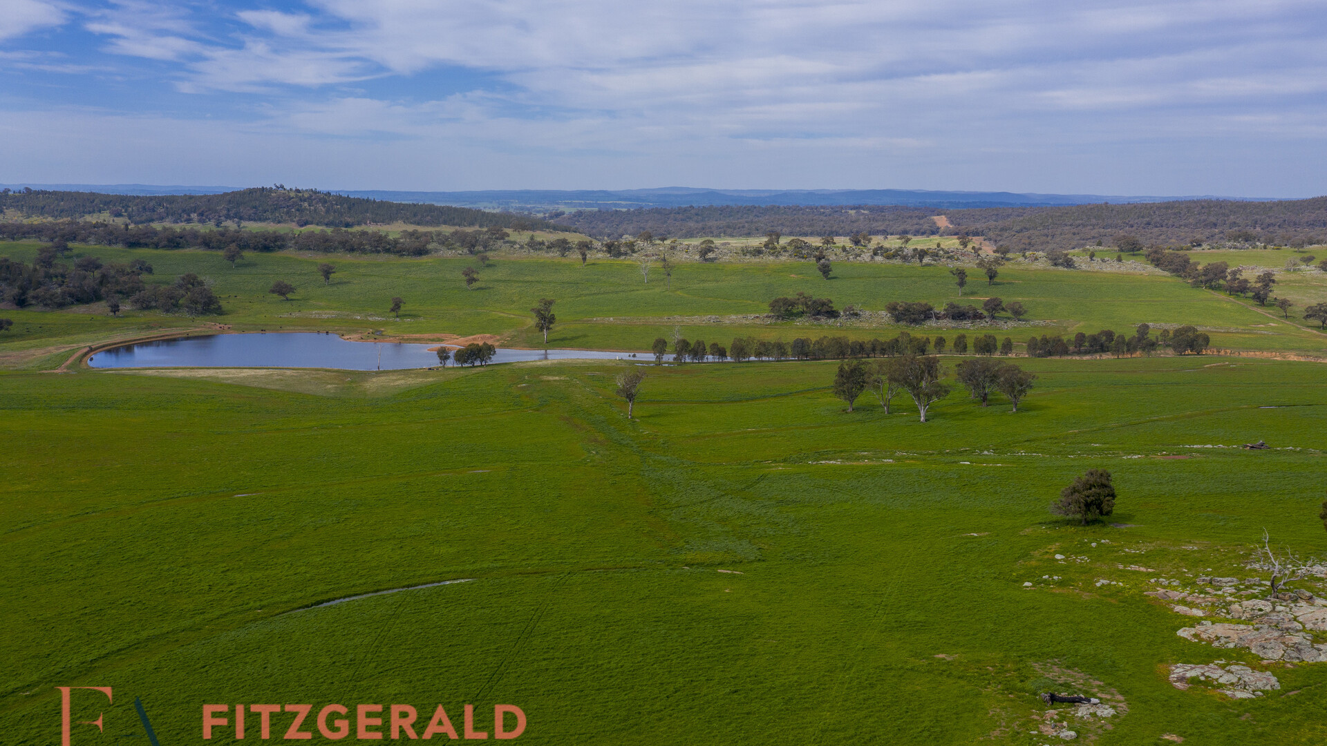 128 Norah Creek Road, Molong NSW 2866 - photo 10