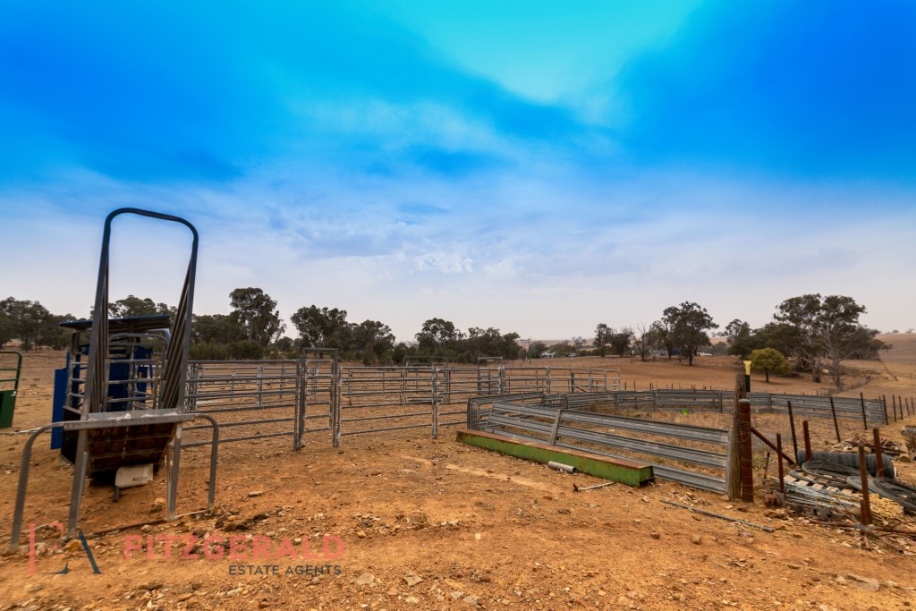 1179 Peabody Road, Molong NSW 2866 - photo 2