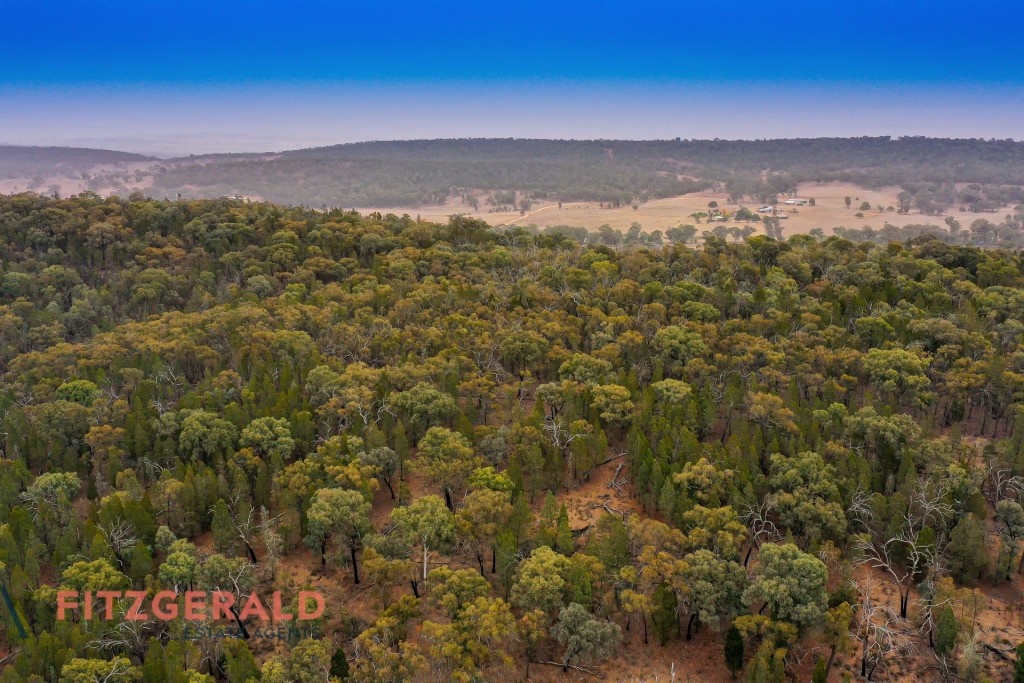 1179 Peabody Road, Molong NSW 2866 - photo 11