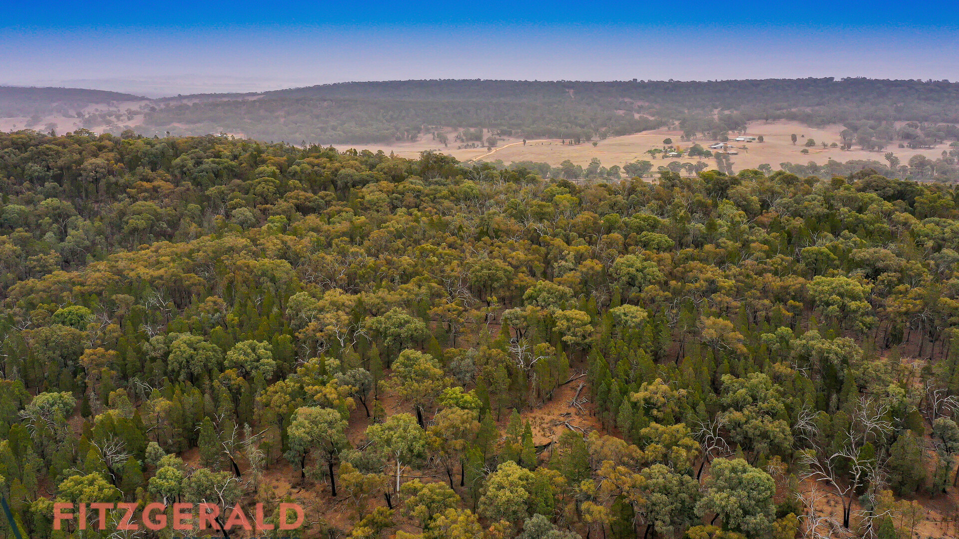 1179 Peabody Road, Molong NSW 2866 - photo 11