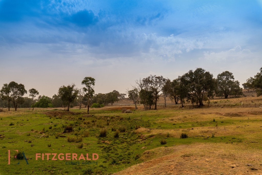 1179 Peabody Road, Molong NSW 2866 - McGrath Central West