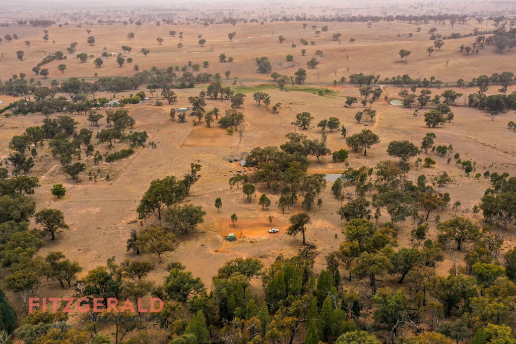 1179 Peabody Road, Molong NSW 2866 - photo 12