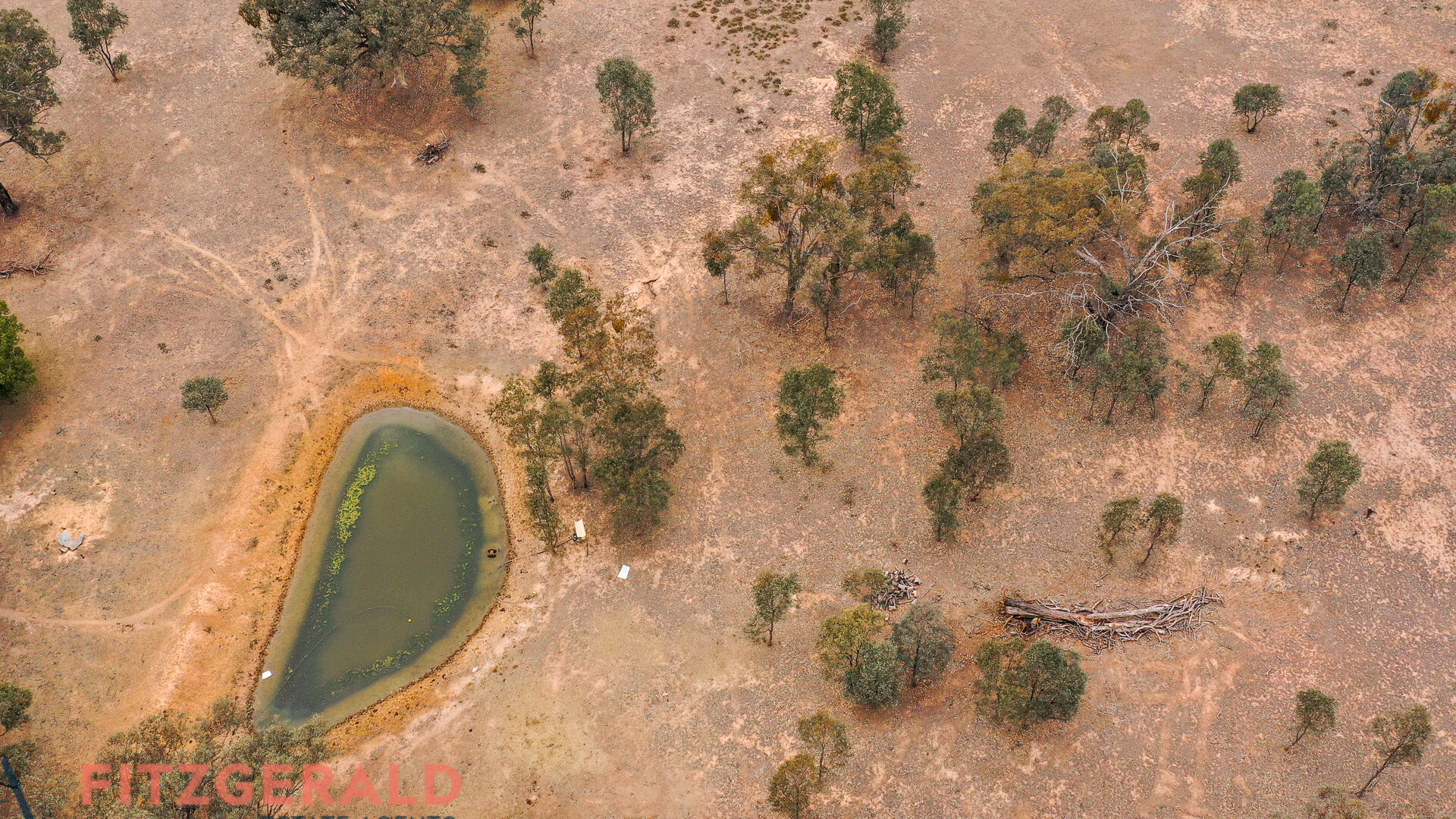 1179 Peabody Road, Molong NSW 2866 - photo 13