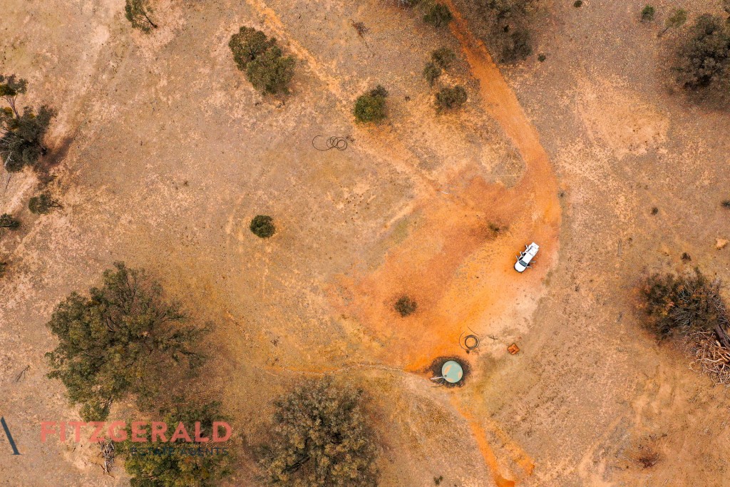 1179 Peabody Road, Molong NSW 2866 - photo 14