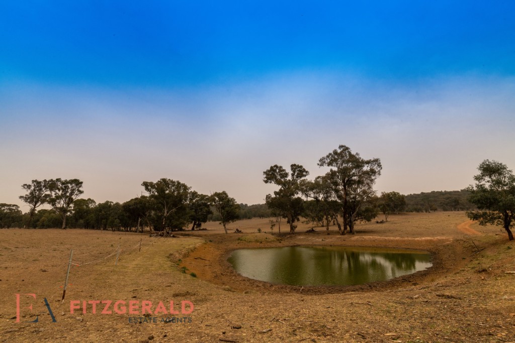 1179 Peabody Road, Molong NSW 2866 - photo 3