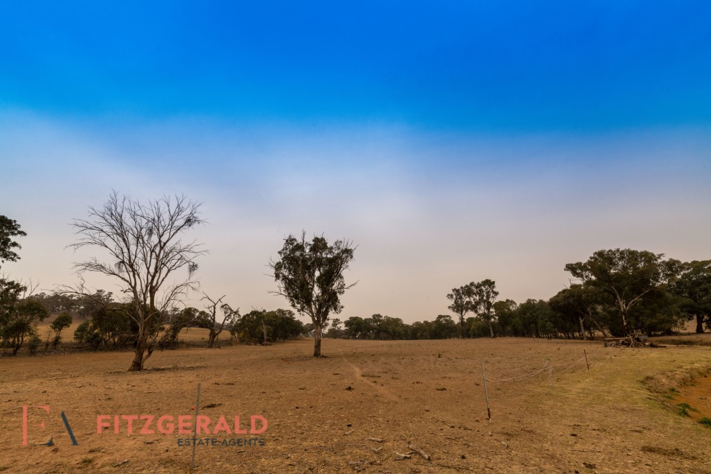 1179 Peabody Road, Molong NSW 2866 - photo 4