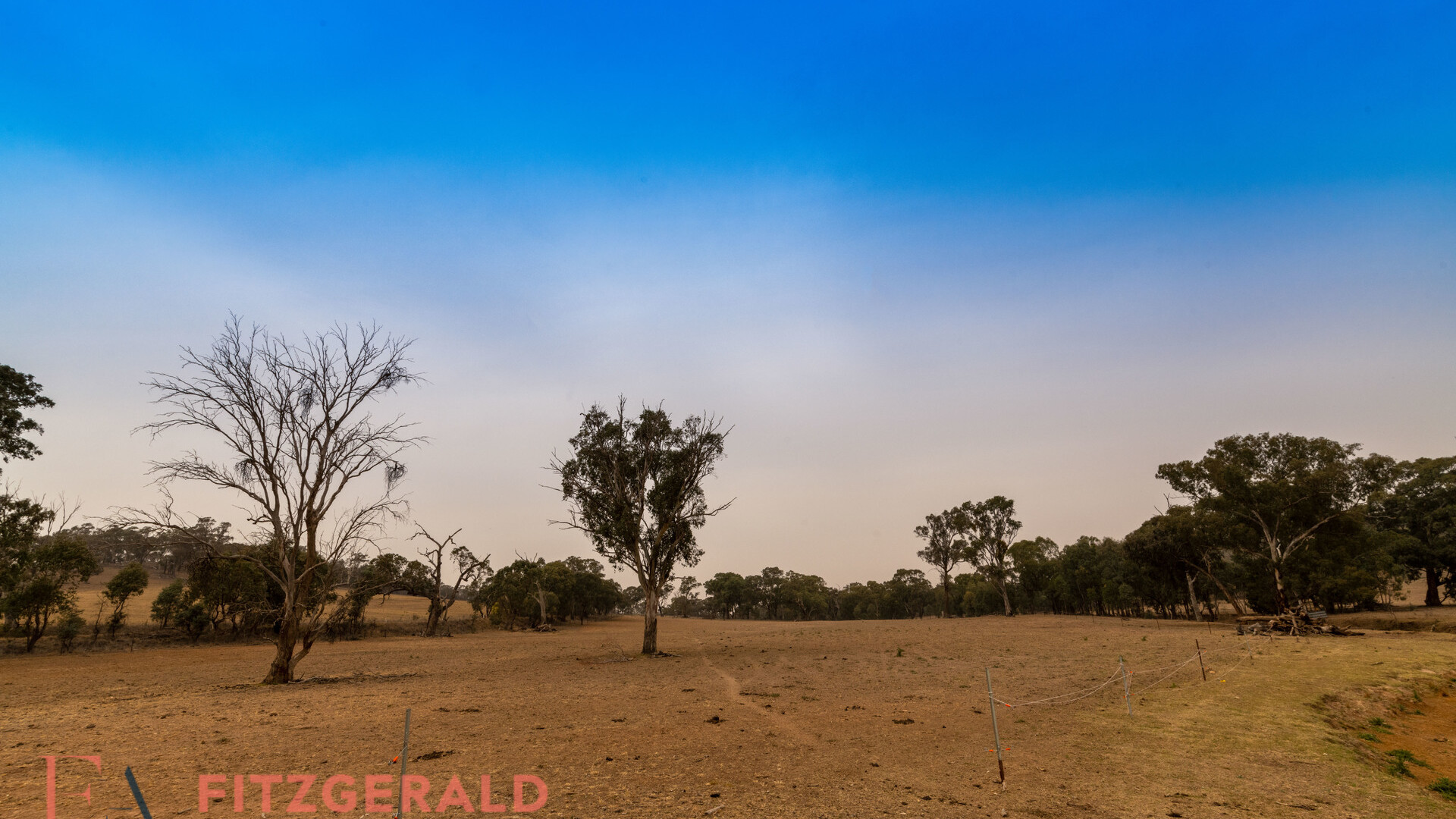 1179 Peabody Road, Molong NSW 2866 - photo 4