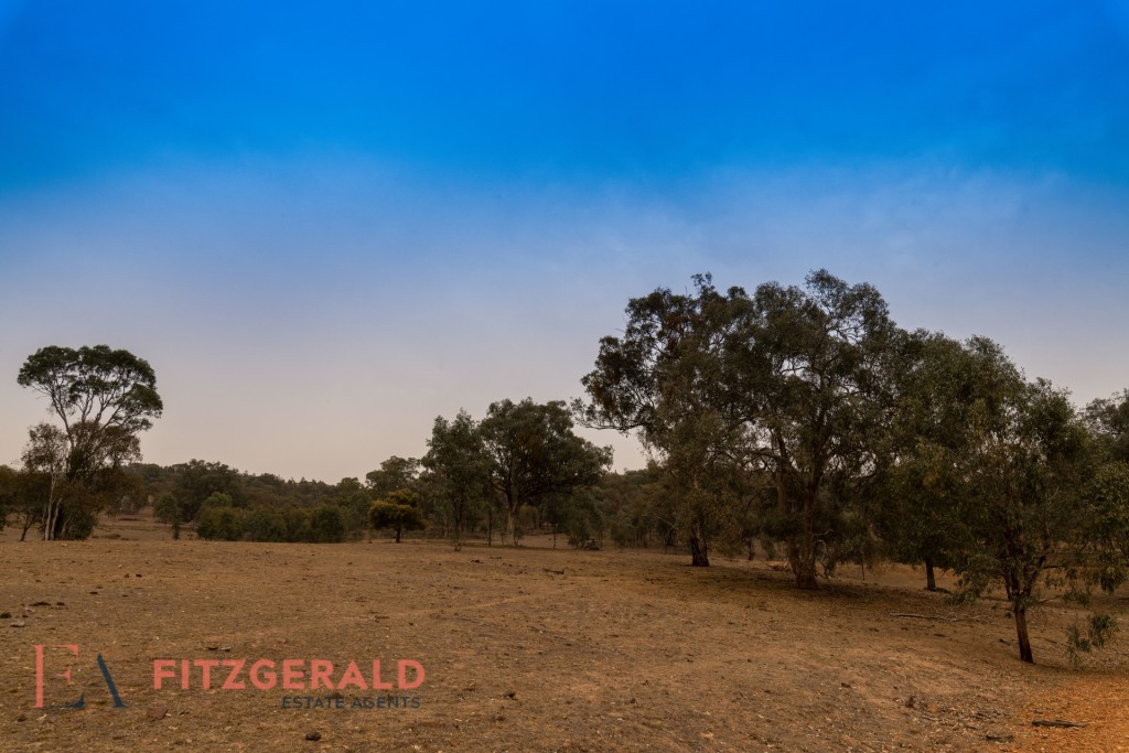 1179 Peabody Road, Molong NSW 2866 - photo 5