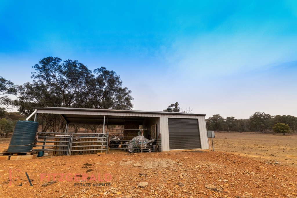 1179 Peabody Road, Molong NSW 2866 - photo 6