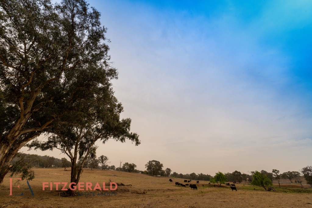 1179 Peabody Road, Molong NSW 2866 - photo 7